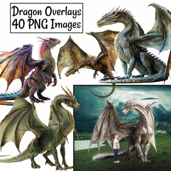Dragon Overlay Realistic Digital Downloads, 40 Mythical Fantasy Wyvern Magical Clipart, Animal Background Photographer, Creatures Real PNG