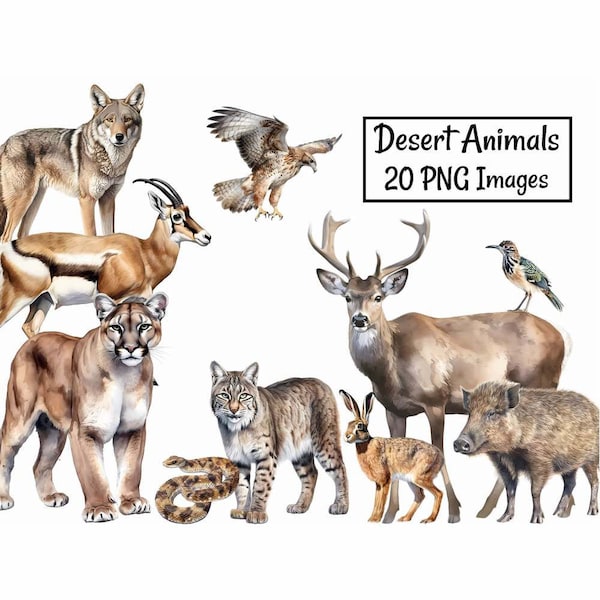 Animals Desert North America Sonoran Clipart,Digital Instant Download, 20 PNG Watercolor Arizona California Mexico Wildlife Coyote Cougar