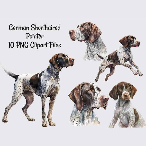 German Shorthaired Pointer Watercolor Digital Downloads, 10 Sublimation Dog Clipart , Transparent Background, Art Prints, Shirts, Stickers