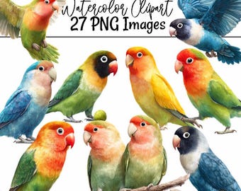Clipart de acuarela de agapornis. Ilustración de agapornis de cara de melocotón. Pájaro mascota con máscara negra. Descarga digital de Fischer. Arte de agapornis.
