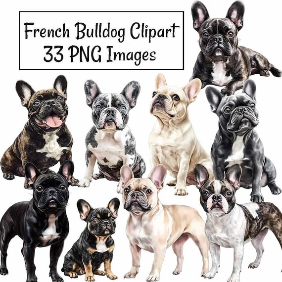 フレンチブルドッグのクリップアート水彩画犬種デジタルダウンロード