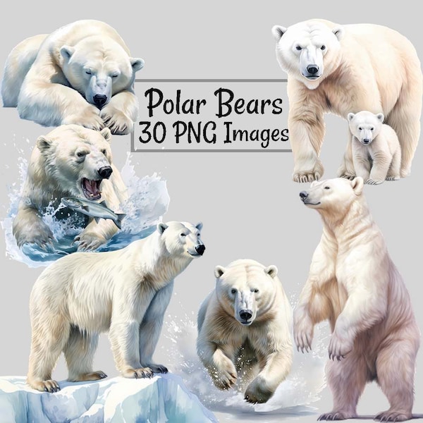 Polar Bear Watercolor Clipart Digital Downloads, 30 Alaska Arctic Snow Winter Wildlife Overlay, Bear Animal Art Shirts Cards Scrapbooking