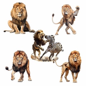May include: Five lions and a zebra in a white background. One lion is attacking a zebra. Another lion is standing on its hind legs with its front paw raised. The other three lions are sitting or standing in different poses.
