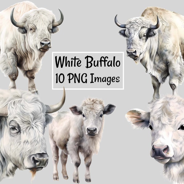 White Buffalo Bison Watercolor Digital Downloads, 10 Cows Calf Sacred Albino Woodland High Quality Overlay Clipart , Transparent Background