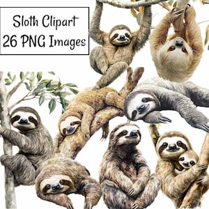 May include: A digital clipart set of 26 sloth images. The sloths are depicted in various poses, including hanging from branches, sleeping, and cuddling. The images are in a watercolor style and feature a variety of colors, including brown, gray, and white.