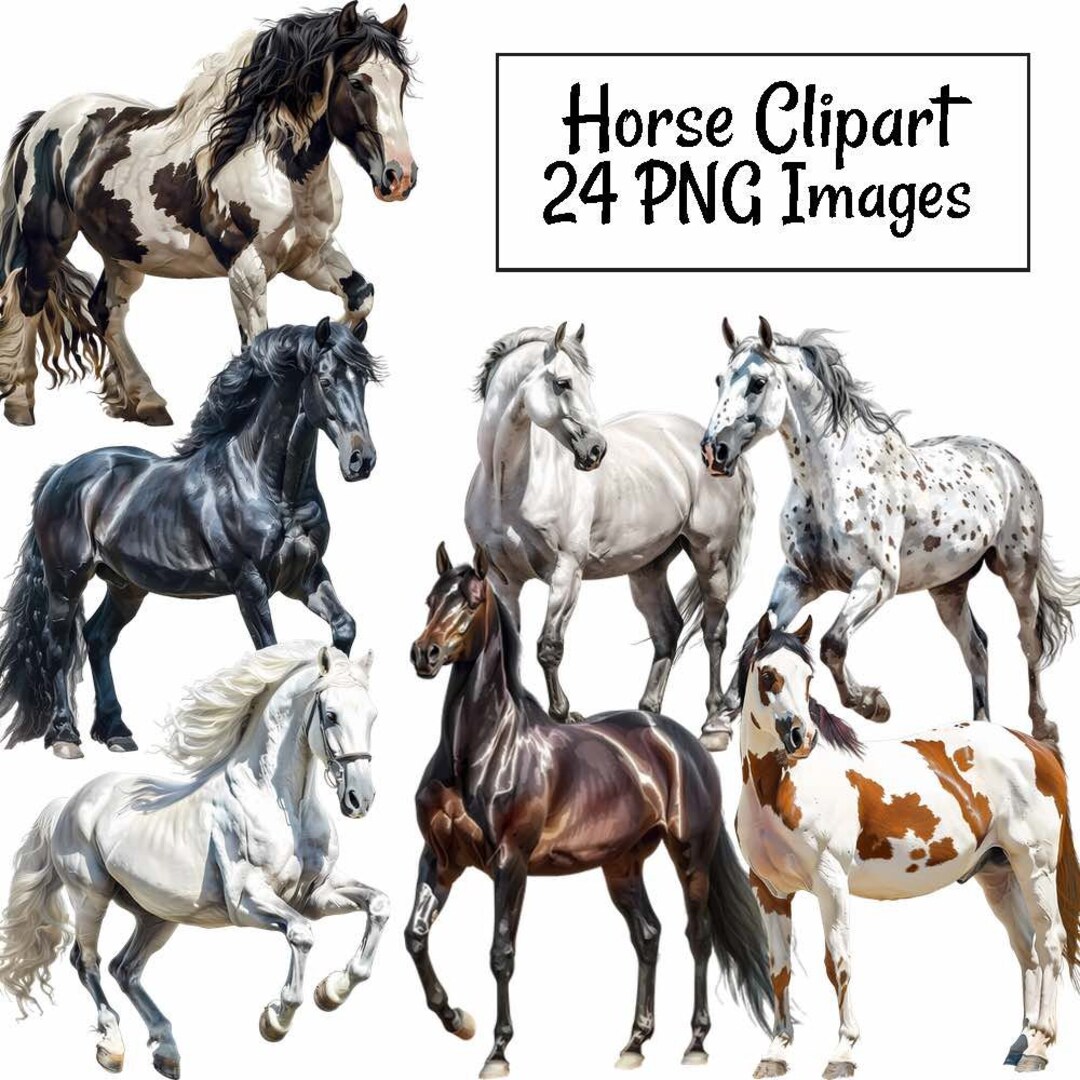 Horse Breeds Clipart, 24 Pony Animal Digital Watercolor Downloads, Farm ...