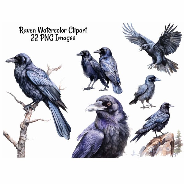Raven Bird Watercolor Digital Downloads, 22 Black Bird Crow High Quality Overlay Clipart, Transparent Background,Wildlife Woodland Halloween