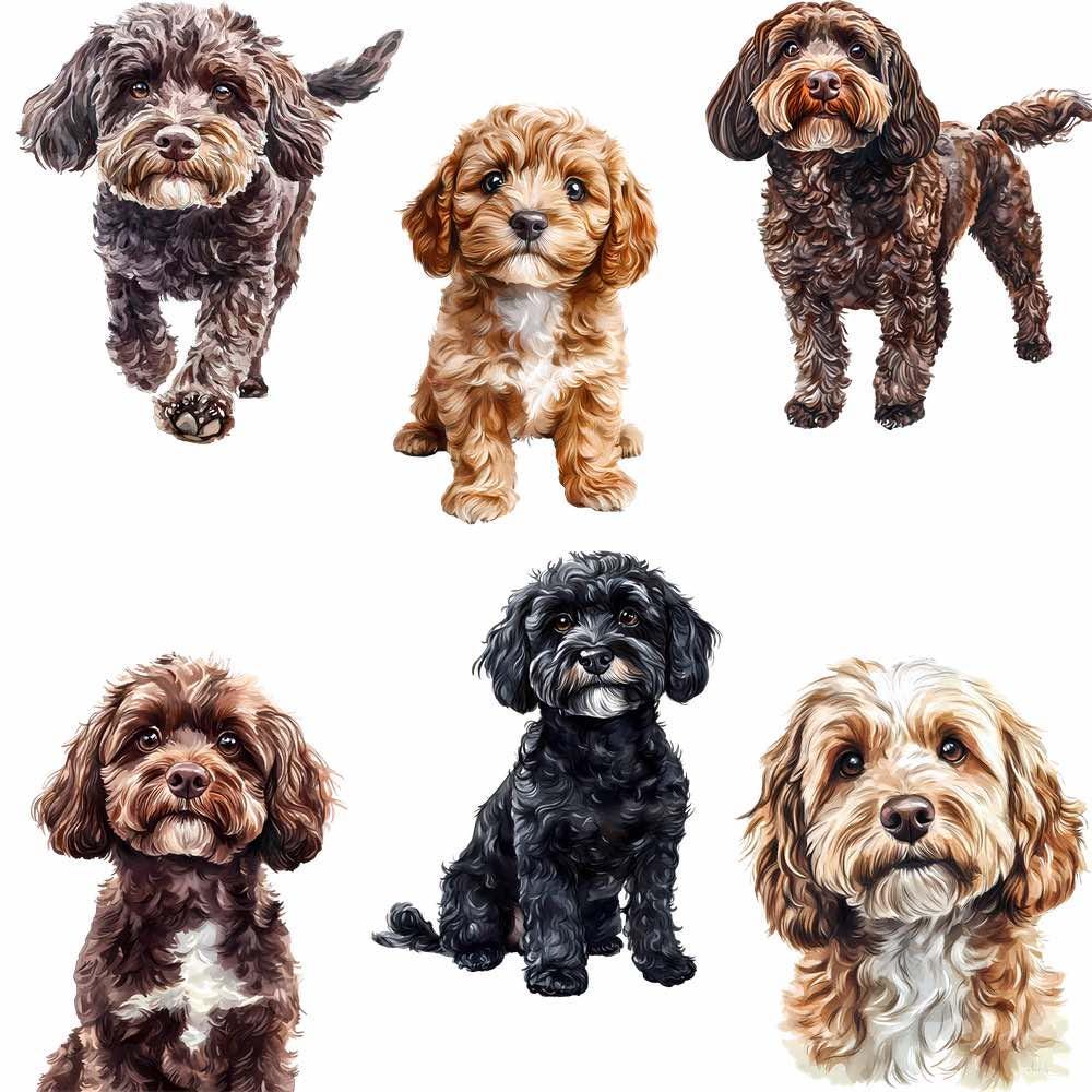 Cockapoo Digital Cockapoo Clipart, 24 Printable Digital Downloads, Sublimation Dog ...