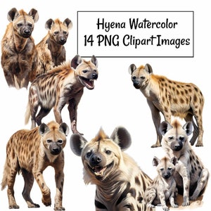 Hyena Watercolor Clipart Digital Downloads, 14 African Wildlife Spotted Hyenas Overlay, Hyaena Carnivore Animal Transparent background