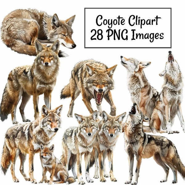 Coyote Watercolor Digital Downloads, 28 Designs Wildlife Animal Desert Overlay Clipart , Transparent Background, Woodland Wild Canine