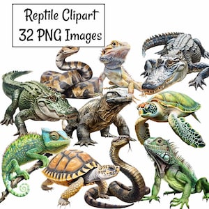 Reptile Watercolor Clipart, 32 Digital Downloads Animal Woodland Wildlife, Realistic, Lizard Turtle Tortoise Snake Alligator, Crocodile