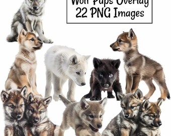 Wolf Pups Digital Downloads, 22 Overlays Wolf Clipart , Wolves High Quality Transparent Background, Photoshop Overlays,Animals Wildlife