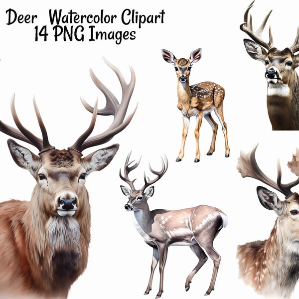 Deer Watercolor Digital Downloads Clipart, 14 Buck Doe Fawn Antlers Woodland High Quality Overlay, Red, Fallow, Mule, White Tailed Deers