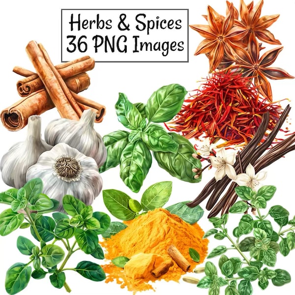 Herbs and Spices clipart,36 Watercolor Cooking Culinary Plant Condiment, Restaurant food Ingredients Kitchen , Commercial use PNG files