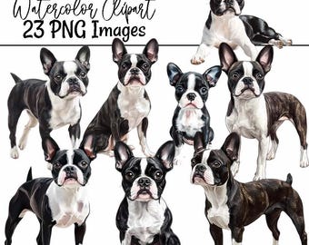 Boston Terrier Watercolor Clipart Dog Breed Art Boston Terrier Puppy Illustration PNG Dog Digital Download Terrier Lover art