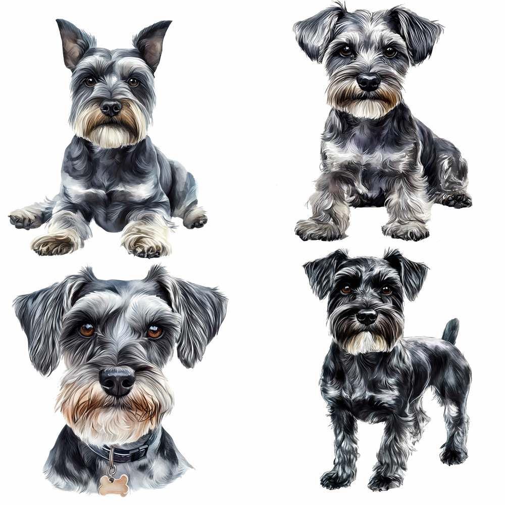 Imágenes prediseñadas de acuarela de perro Schnauzer Descargas digitales  Superposición Schnauzer miniatura Imágenes prediseñadas estándar Fondo  transparente de alta calidad - Etsy México, image size:1000x1000