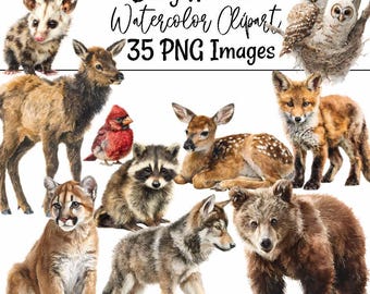 Baby Woodland Clipart Animal Watercolor Illustration Forest Wildlife Baby Art Nursery Digital Downloads Baby shower Animal Clipart Deer Fox