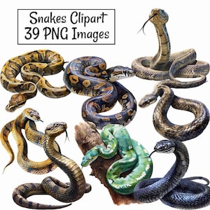 Snake Watercolor Digital Downloads Serpent Reptile Art Printable Anaconda Mamba Rattlesnake Boa Cobra King Python Garter Snake Illustrations