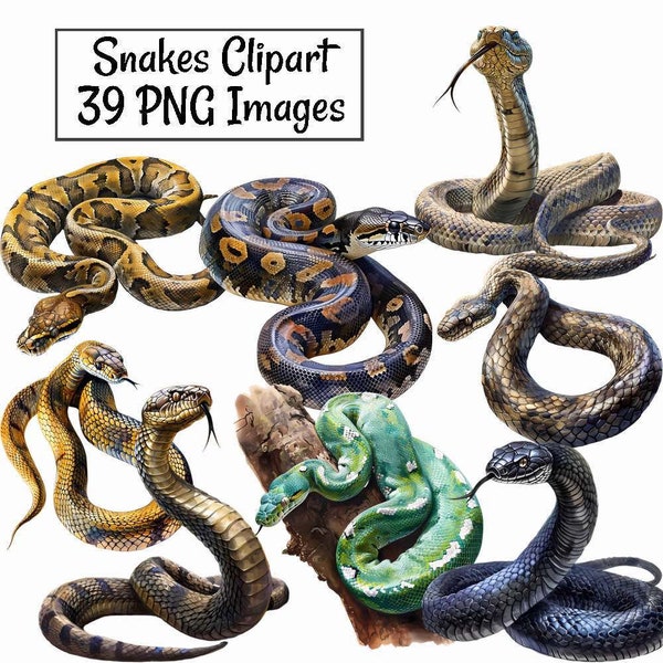 Snake Watercolor Digital Downloads, 15 Serpent Reptile Anaconda Mamba Rattlesnake Boa Cobra King Python Garter , Transparent Background