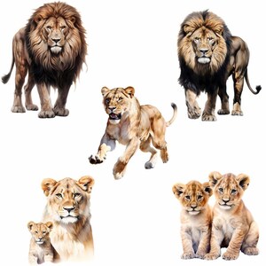 May include: A collection of five lions, including a male lion with a thick mane, a female lion, and three lion cubs. The lions are depicted in a realistic style with detailed fur and facial features. The image is set against a white background.