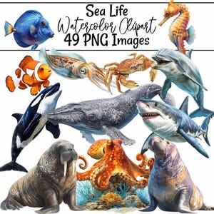 Sea life Clipart Whale Digital Downloads Shark art Animal Watercolor Ocean Marine Creatures Octopus illustrations sealife artwork coral image 1