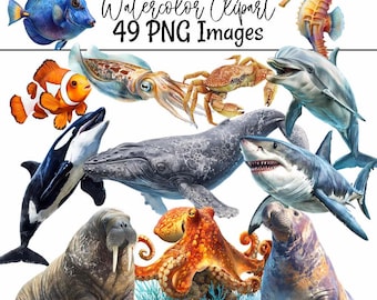 Sea life Clipart Whale Digital Downloads Shark art Animal Watercolor Ocean Marine Creatures Octopus illustrations sealife artwork coral