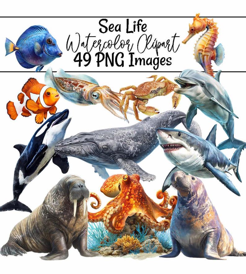Sea life Clipart Whale Digital Downloads Shark art Animal Watercolor Ocean Marine Creatures Octopus illustrations sealife artwork coral image 1
