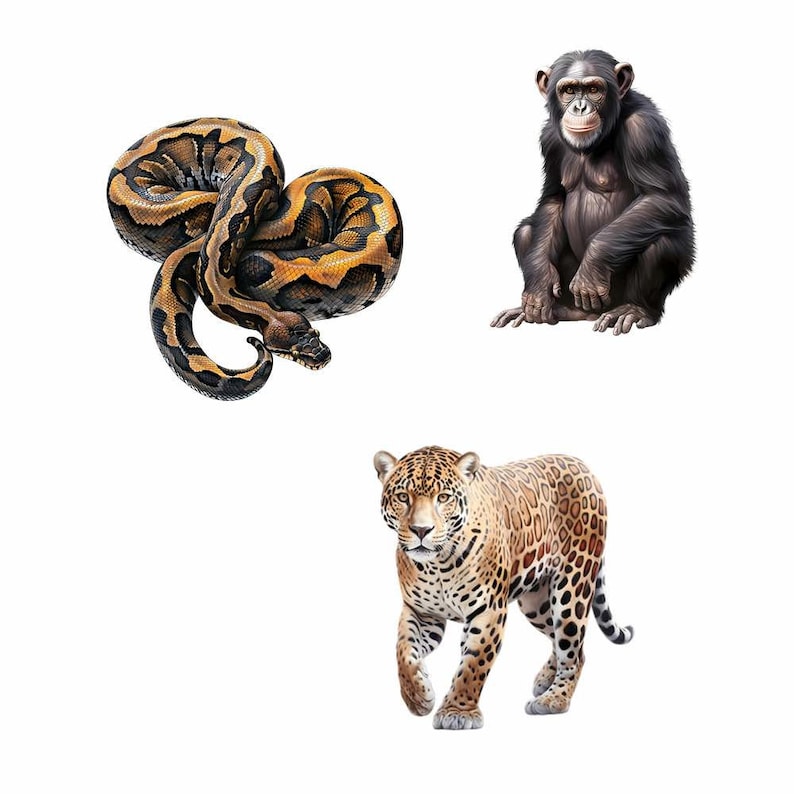 May include: A brown and black snake, a black chimpanzee, and a spotted jaguar on a white background.