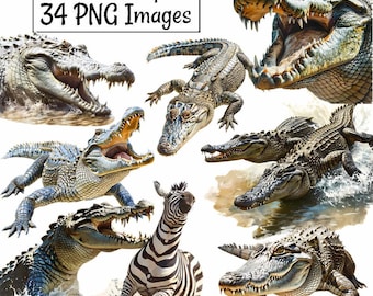 Crocodile Watercolor Clipart Digital Downloads, 34 Reptile Alligator Animal Wildlife, Saltwater Nile Overlay Transparent background