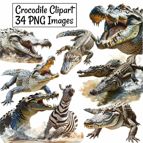 Crocodile Watercolor Clipart Digital Downloads, 34 Reptile Alligator Animal Wildlife, Saltwater Nile Overlay Transparent background