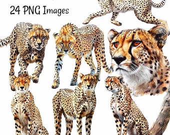 水彩画のチーター クリップアート: 61 x PNG アフリカ野生動物イラスト