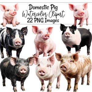 Pig Watercolor Clipart Realistic Farm Animal Art Piglet Digital Download Nursery Art Baby Shower illustration Domestic Pig Barn Yard Animal