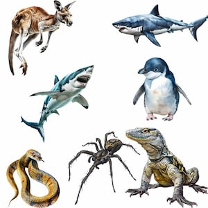 May include: A digital illustration of a variety of Australian animals, including a kangaroo, a spider, a lizard, a snake, a penguin, and two sharks.