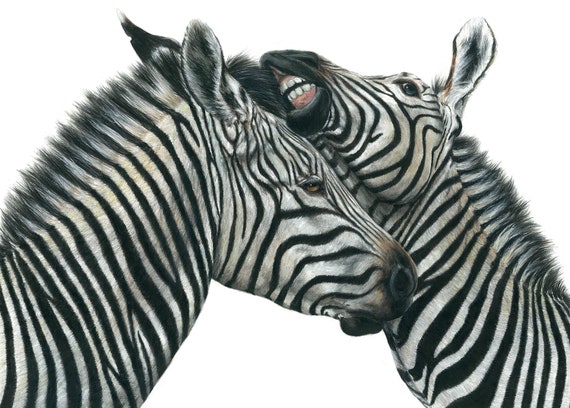 Zebras in Love - A Study in Watercolour Pencil