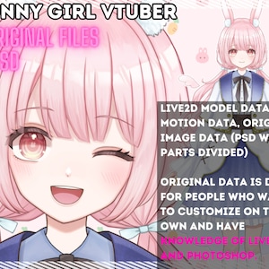Bunny Girl Vtuber Model | Vorgefertigt | 7 Ausdruck, 8 Animation, Haarlänge | Vtube Studio, nizimaLive | Gebrauchsfertig