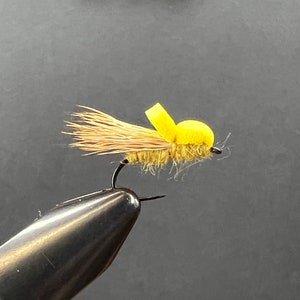 Die Ballon-Caddis (3er-Pack)