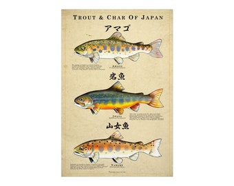 Tenkara Poster: Trout & Char of Japan