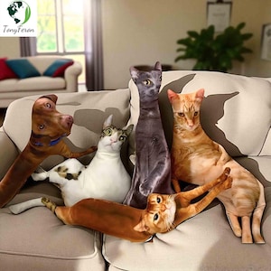 Custom Shaped Pillow from Photo, Funny Pet or Face Plush Pillow, Personalized Photo Gift for Dog Cat Lovers and Friends