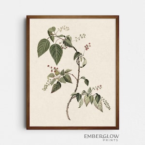 Red Currant Berry Branch Illustration / Vintage Botanical Leaf Berries / Neutral Winter Wall Art Print / DIGITAL DOWNLOAD PRINTABLE / S-76