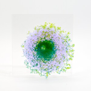 May include: A square piece of clear glass with a green, blue, and purple abstract design in the center. The design resembles a flower or a cell.