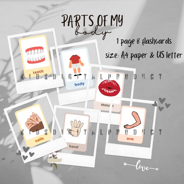 Parts of My Body Flashcards | 24 cards | digital download card | interesting, real and colorful image | preschool and primary learning aids