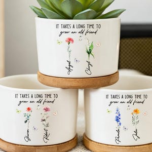 Personalized Friendship Ceramic Plant Pot, Custom Best Friend Birth Flower Pot, Friendship Gift, Bestie Gift, Best Friend Gift, Plant Lover