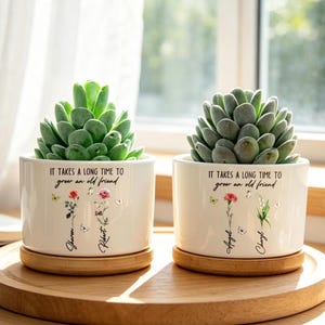 Könnte beinhalten: Zwei zylindrische Pflanzgefäße aus weißer Keramik mit jeweils einer grünen Sukkulente. Die Gefäße sind mit dem schwarzen Text 'IT TAKES A LONG TIME TO grow an old friend' sowie floralen Illustrationen und Namen auf der Vorderseite bedruckt.
