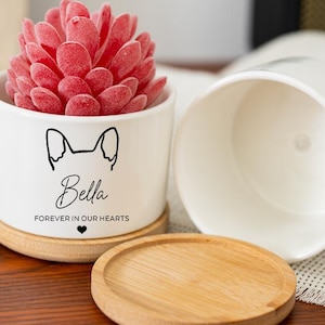 Könnte beinhalten: Weißer Keramik-Blumentopf mit einer roten Sukkulente, einem Untersetzer aus Holz und dem Text "Bella Forever in our Hearts". Der Topf hat ein Hunde-Silhouette-Design. Daneben steht ein weiterer leerer Topf.