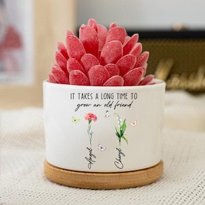 Könnte beinhalten: Ein weißer Keramik-Blumentopf mit einer roten Sukkulente. Der Topf trägt den Text "IT TAKES A LONG TIME TO grow an old friend" und florale Illustrationen. Er steht auf einem runden Holzuntersetzer.