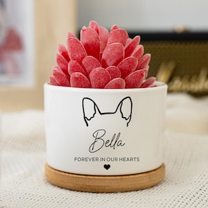 Könnte beinhalten: Ein weißer Keramik-Pflanztopf mit einer roten Sukkulente. Der Topf hat eine schwarze Hundeumriss, den Namen "Bella" und den Satz "Forever in our hearts". Er steht auf einem Holzuntersetzer.