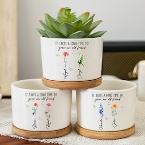 Vaso de cerâmica personalizado com tema de amizade, vaso de flores personalizado para aniversário de melhor amiga, presente de amizade, presente para melhor amiga, presente para amante de plantas