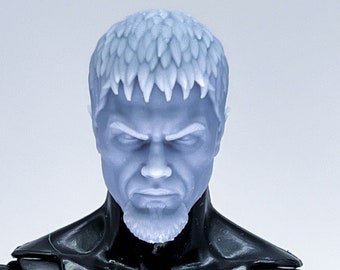 1/12 1/10 Bespoke Sculpted Head Alien General