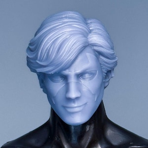 1/12 & 1/10 maßstabgetreuer modellierter Kopf – Stealthy Vigilante Sidekick Sculpt
