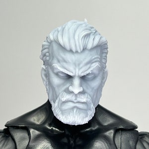 1/12 特注ヘッド スパイダーヴィラン ザ・ハンター